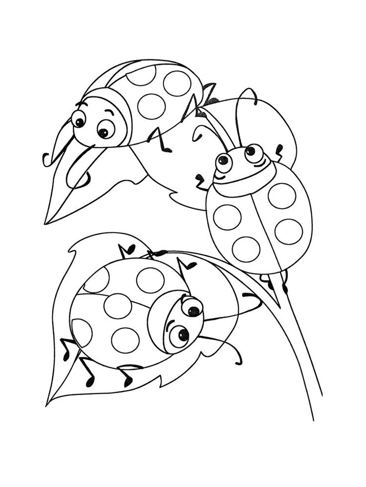 Beetles climbing on leaves coloring page ð ðñðºñðñðºð ñ ððððñðñðð ð ðñðºñðñðºð ðððñð ðºðñðððºð