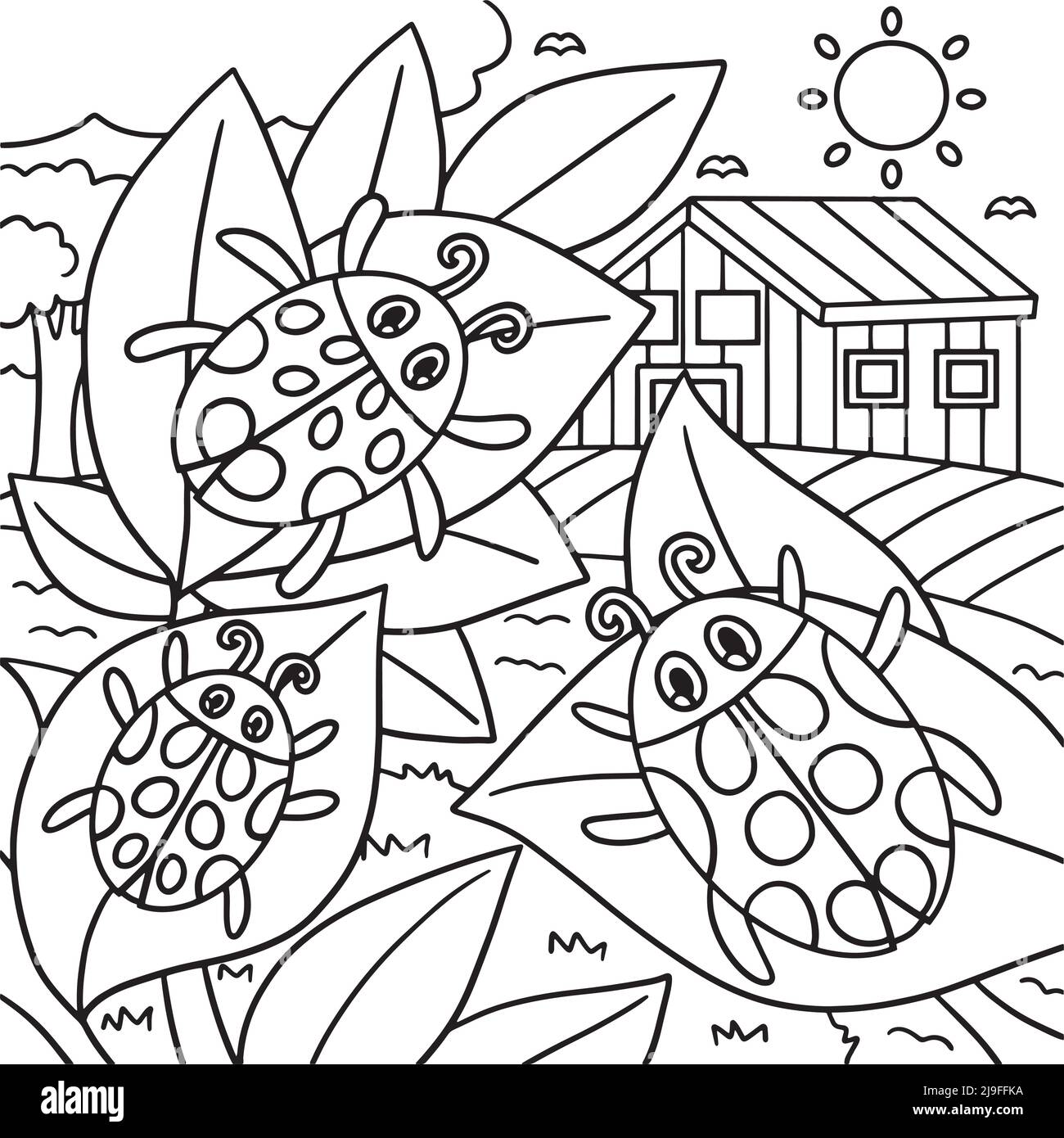 Ladybug line art black and white stock photos images