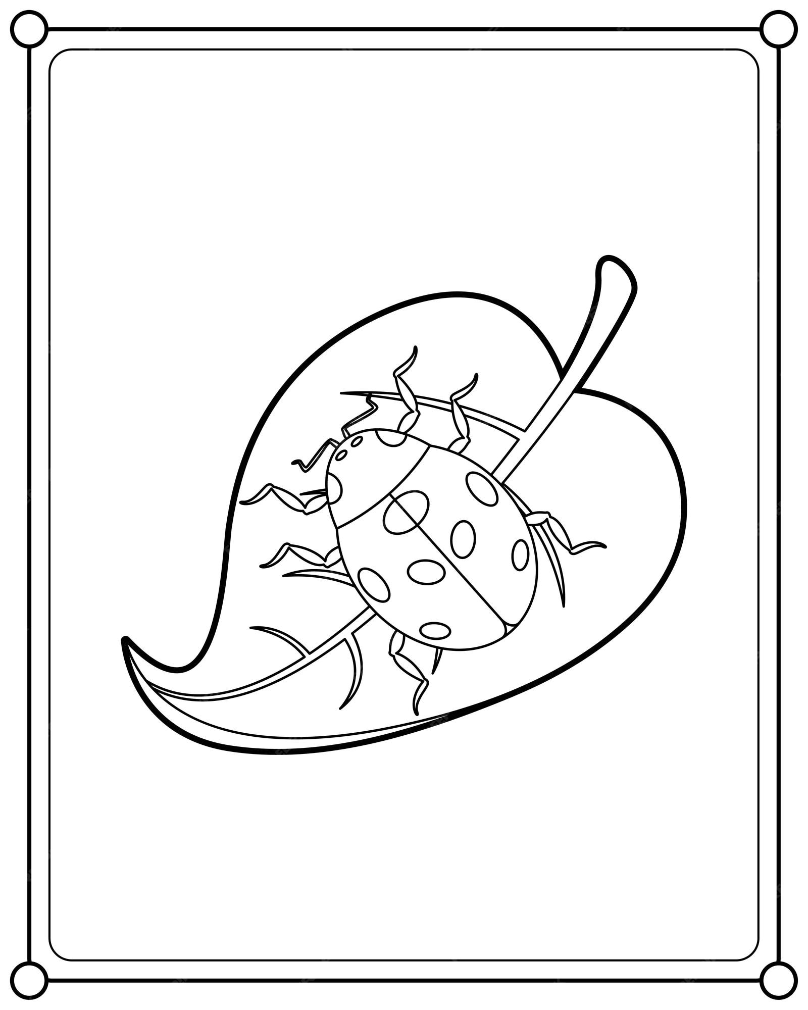 Premium vector ladybug on a leaf suitable for childrens coloring page vector illustration