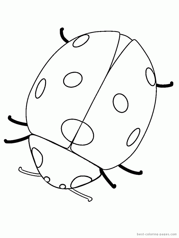 Åéµ ladybug coloring pages best coloring pages