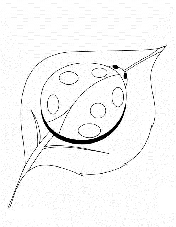 Free printable ladybug coloring pages for kids