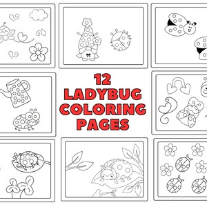Ladybug coloring page
