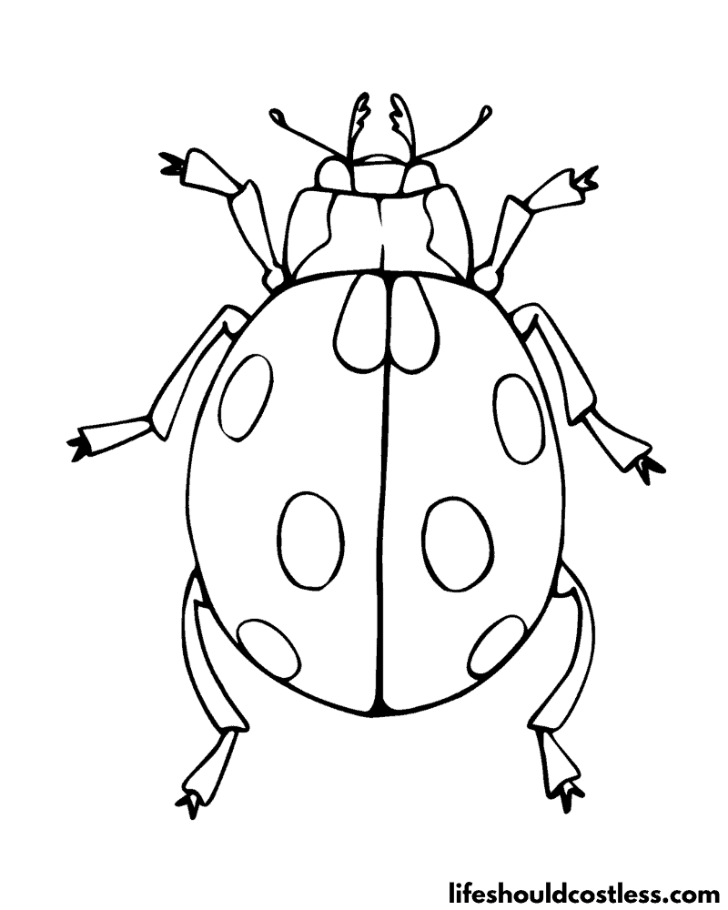 Ladybug coloring pages free printable pdf templates