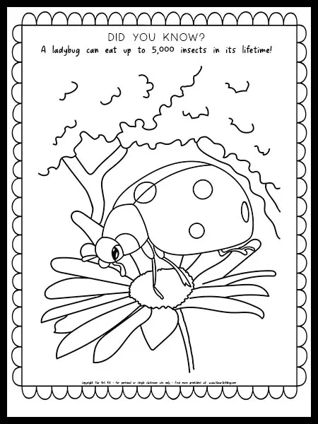 Ladybug coloring page free printable â the art kit