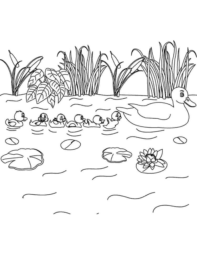 The lake coloring page