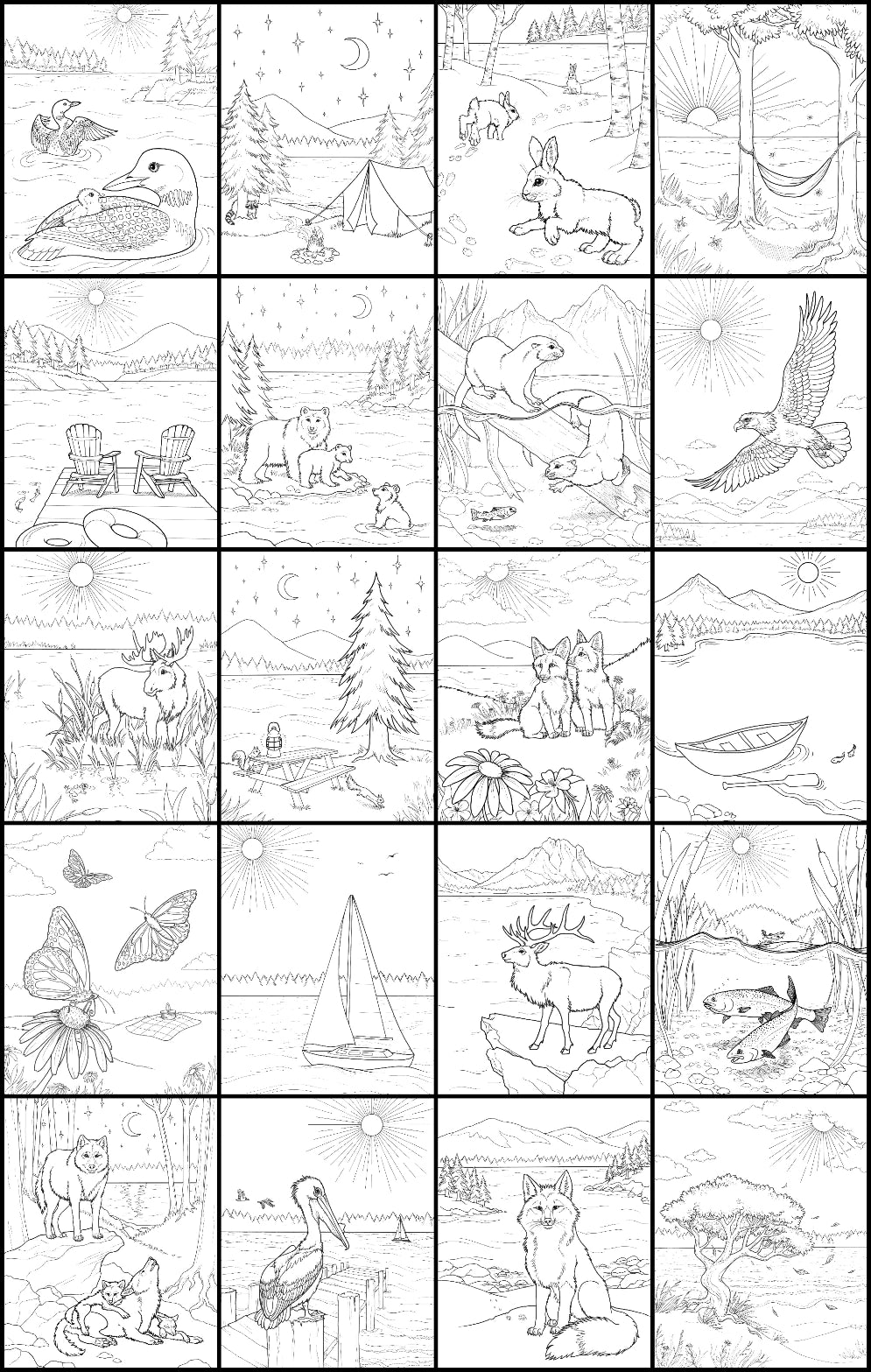 Discover at the lake coloring book â national museum of wildlife art