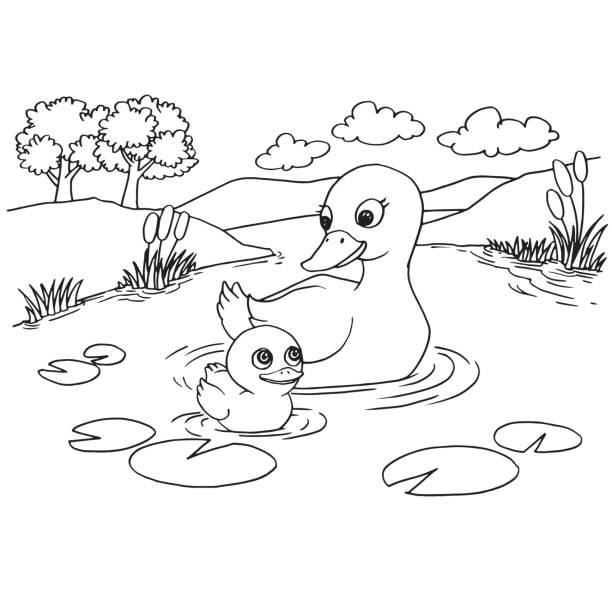Cartoon duck lake coloring page vector stock illustration