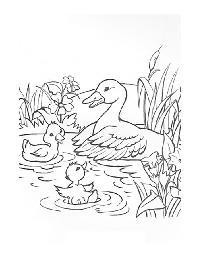Mother duck and ducklings in the lake coloring page
