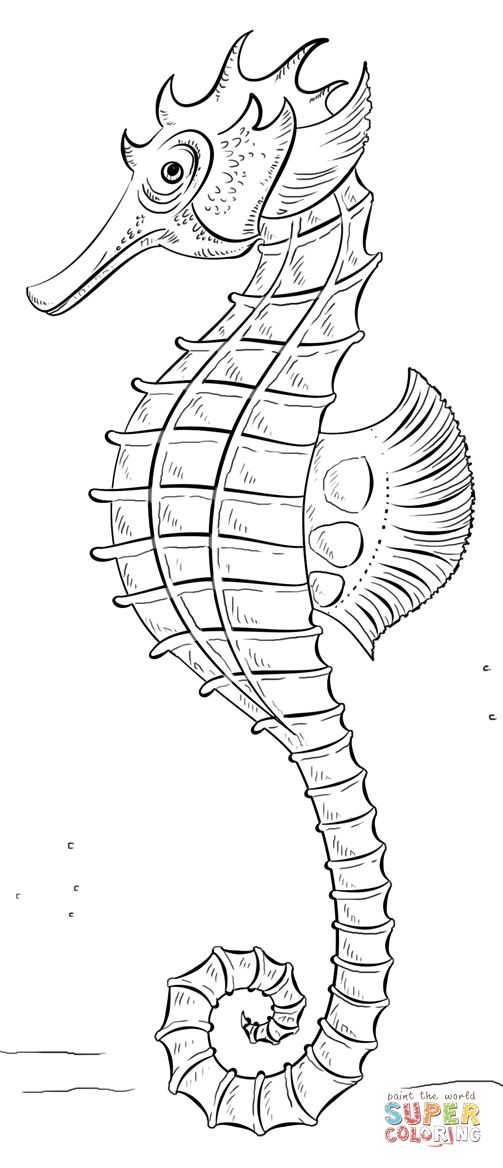 Seahorse coloring page free printable coloring pages