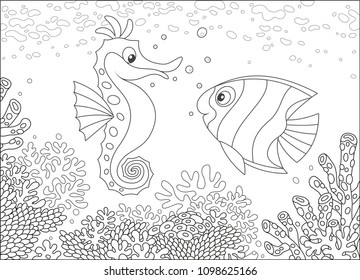 Seahorse coloring book images stock photos d objects vectors