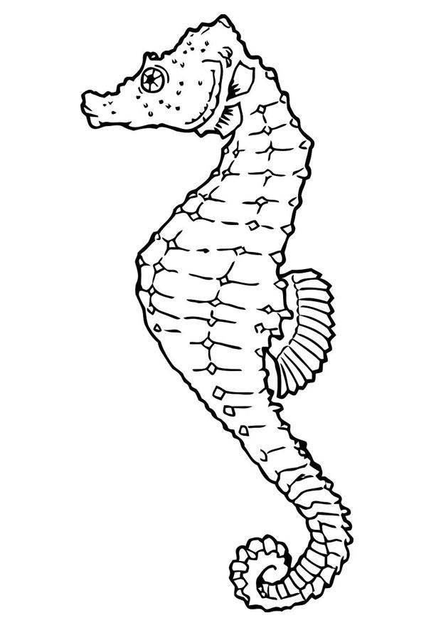 Â