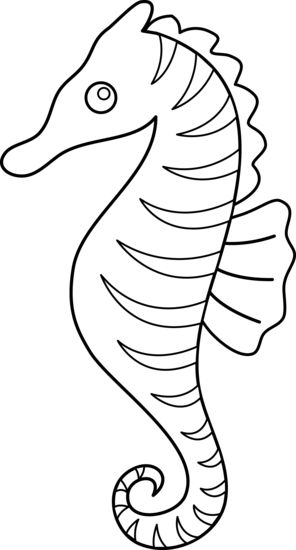 Seahorse coloring page