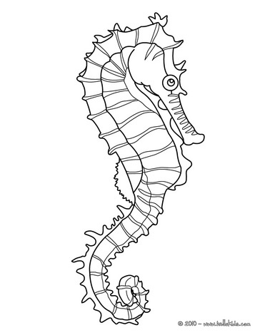Loading coloriage hippocampe coloriage cheval coloriage