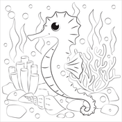 Seahorse coloring pages free coloring pages