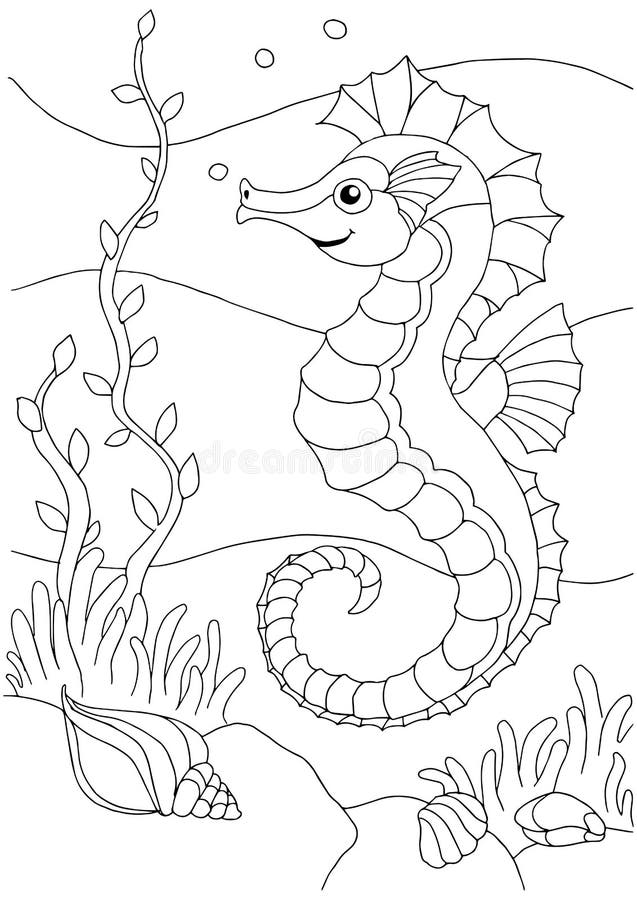 Coloring book sea life sea horse hippocampus underwater world stock vector