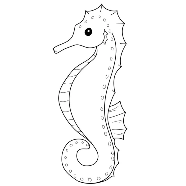 Seahorse coloring stock photos royalty free seahorse coloring images