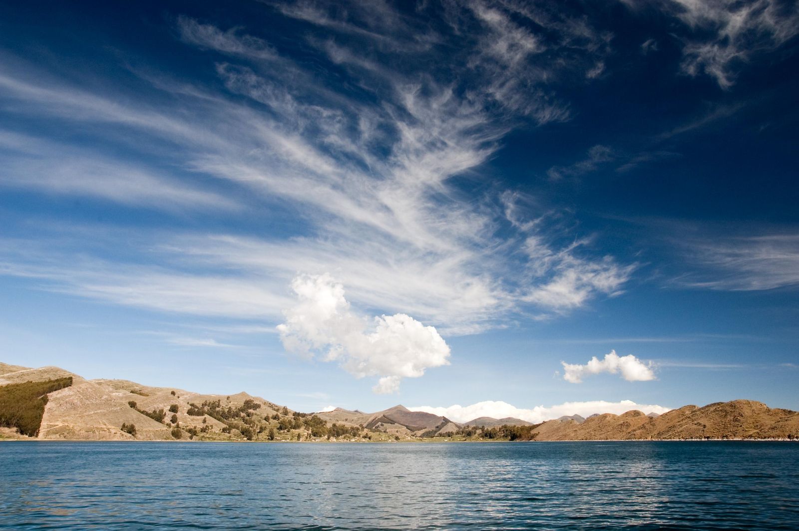 What are north american trout doing in lake titicaca science smithsonian magazine