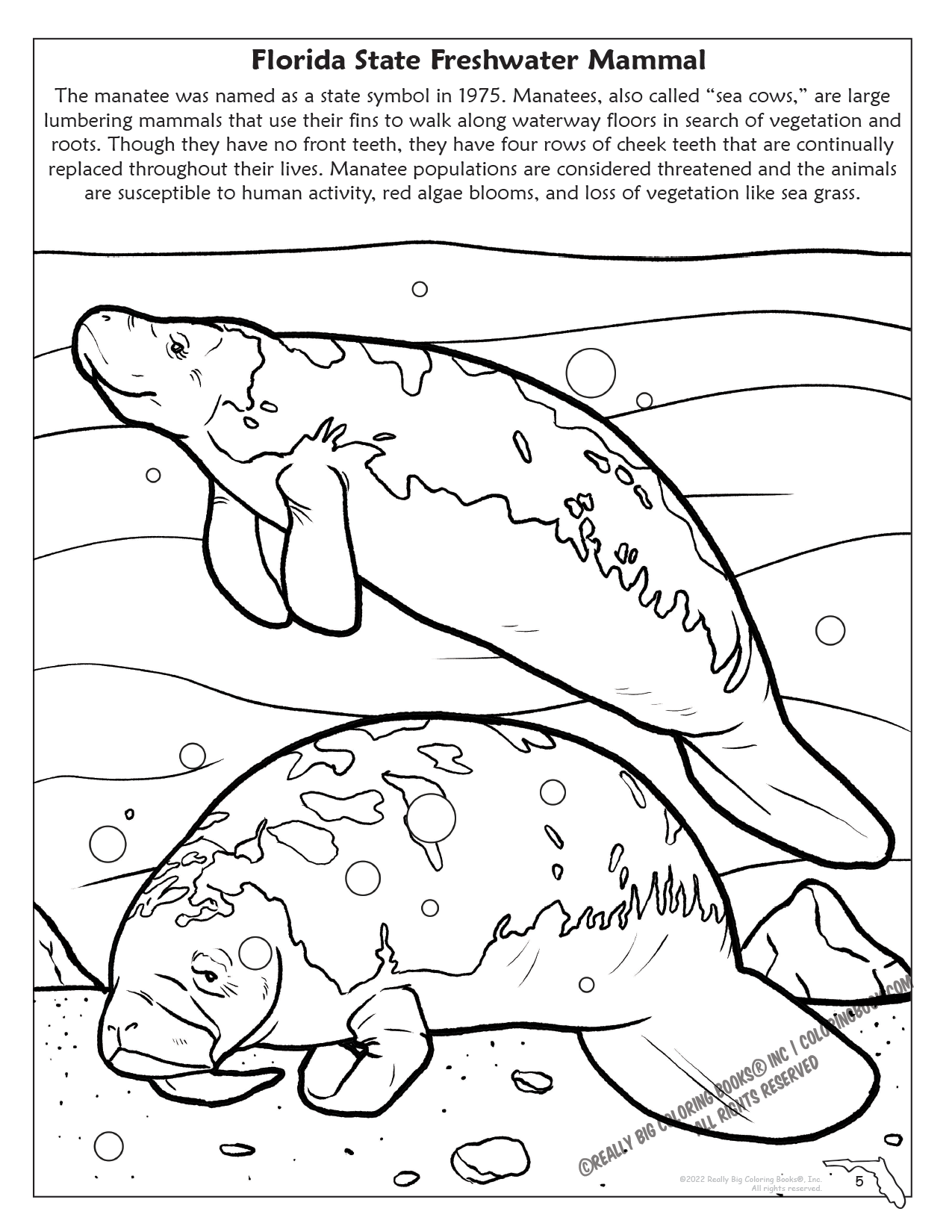 Coloring book