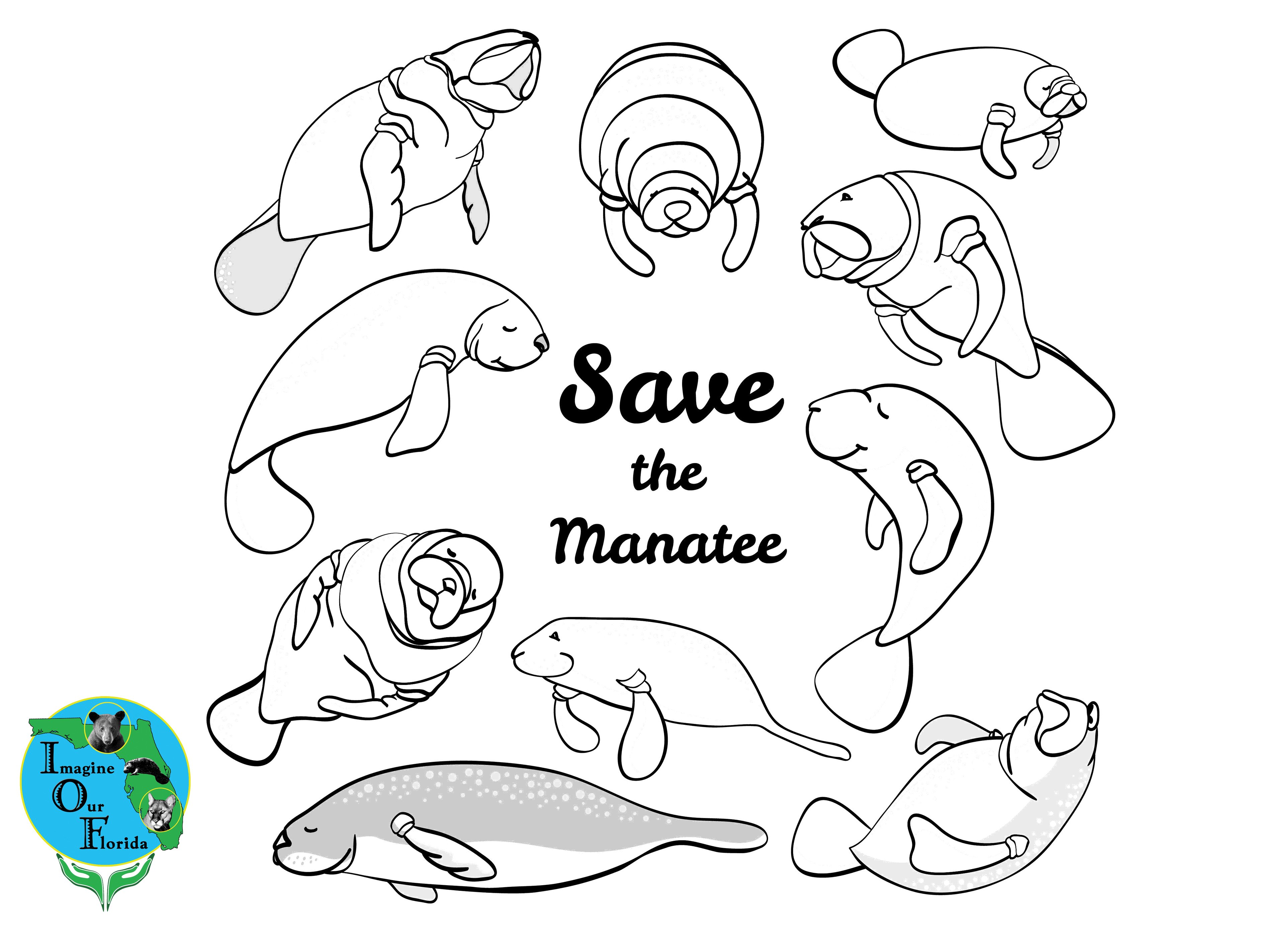 Animal coloring pages imagine our florida inc