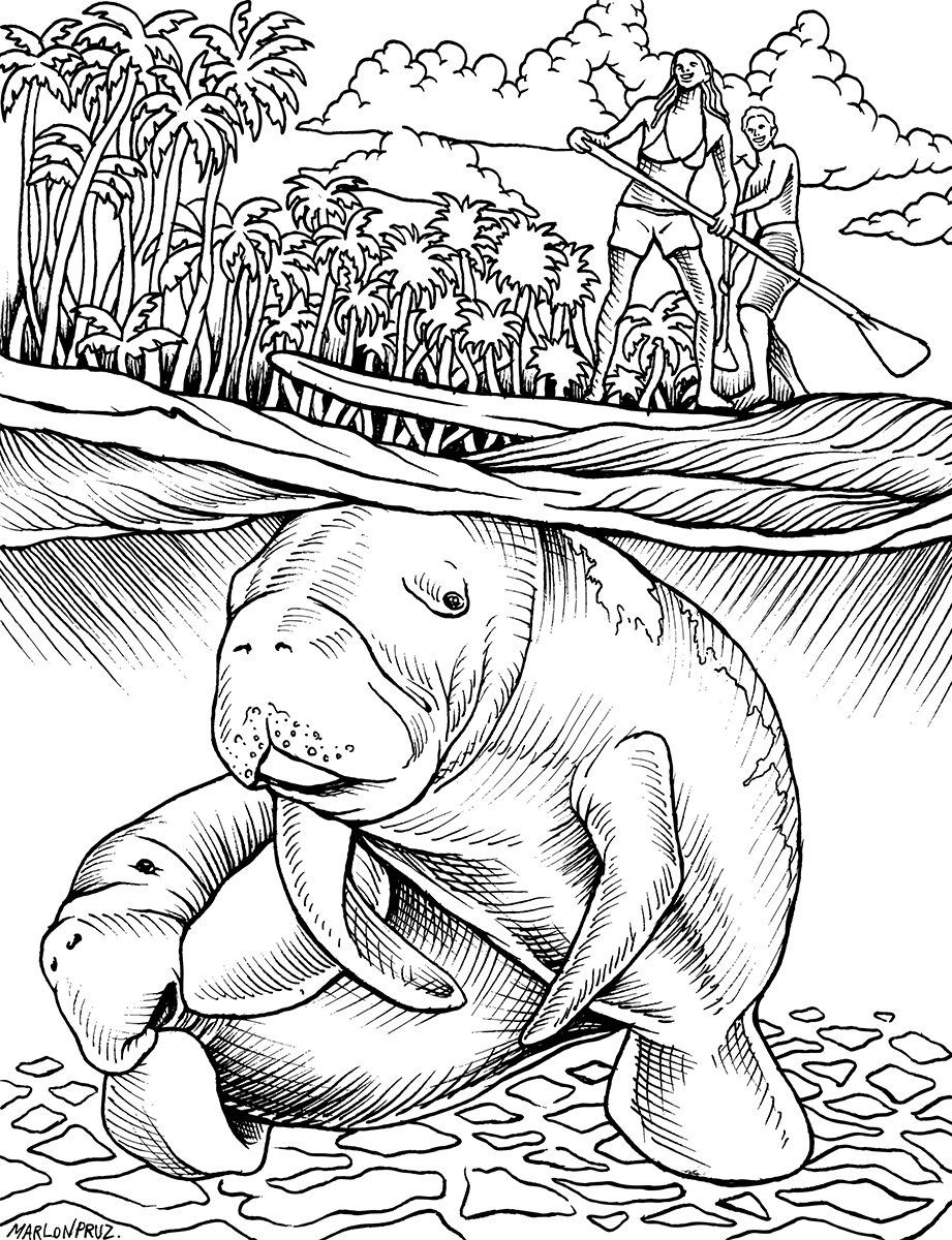 National wildlife refuge system coloring book pages â marlon preuss