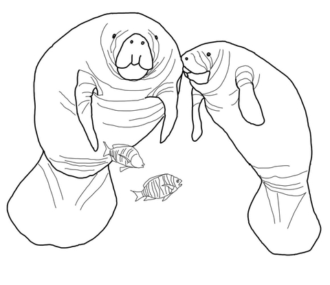 Florida manatee coloring page free printable coloring pages