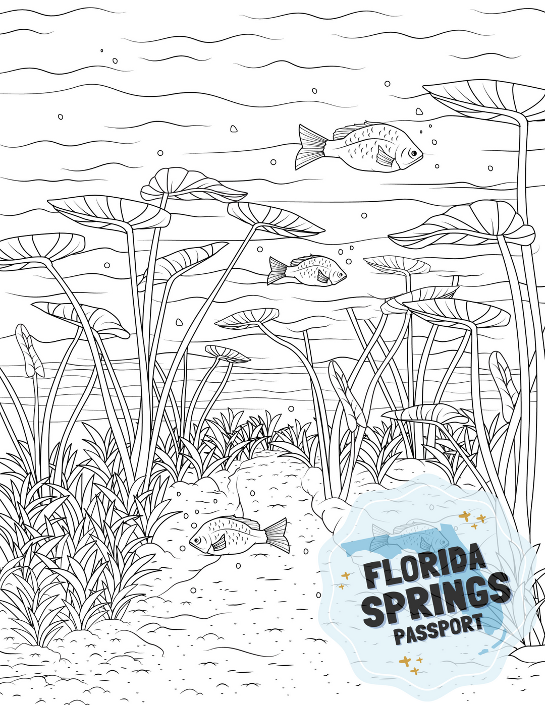 Florida springs coloring pages â florida springs passport