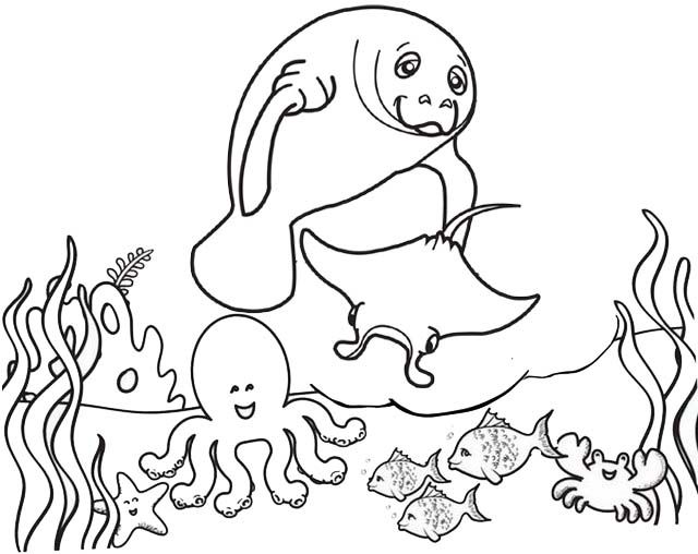 Fantastic manatee colorg pages for children animal colorg pages colorg pages manatee pictures