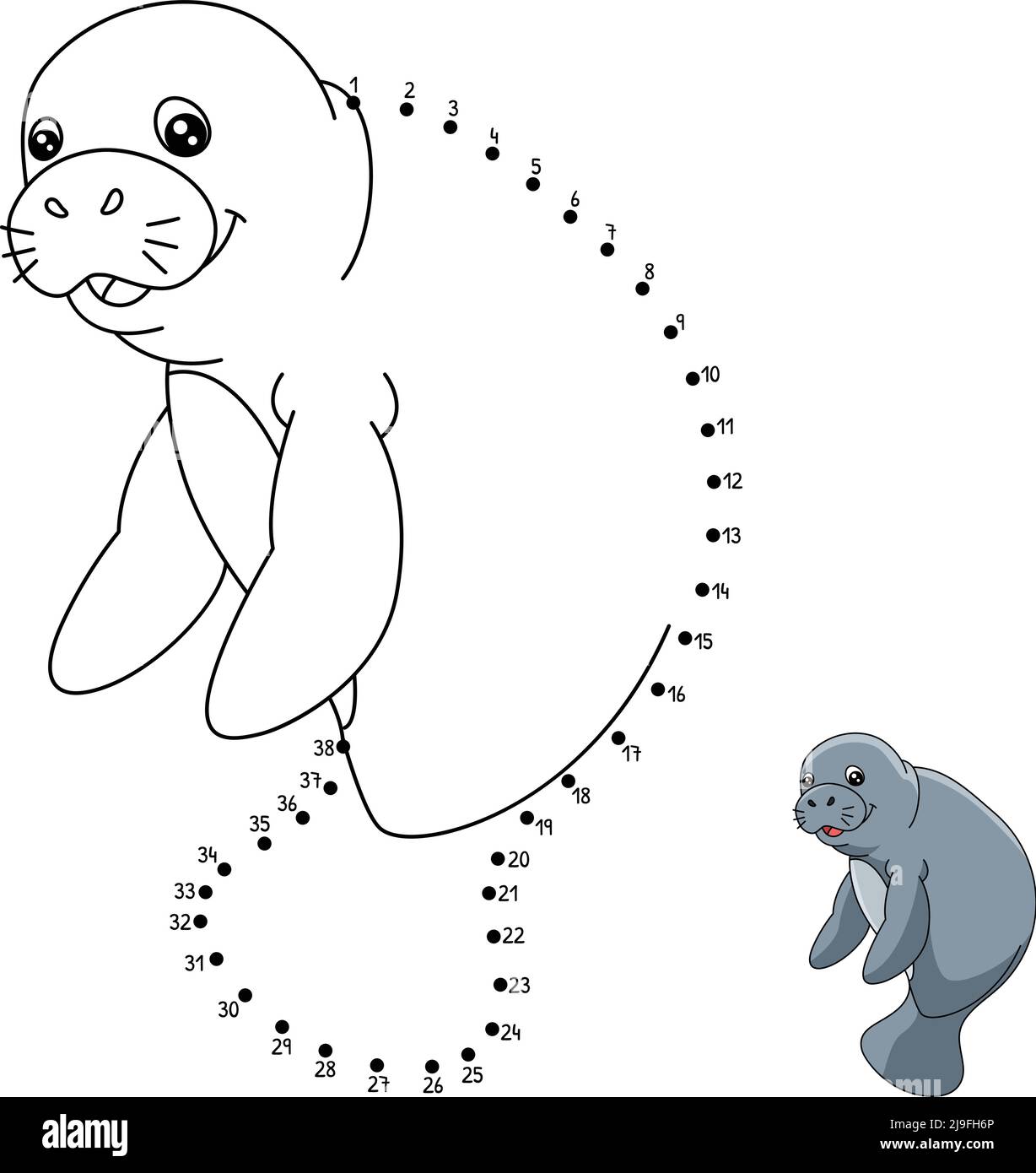 Manatee cut out stock images pictures