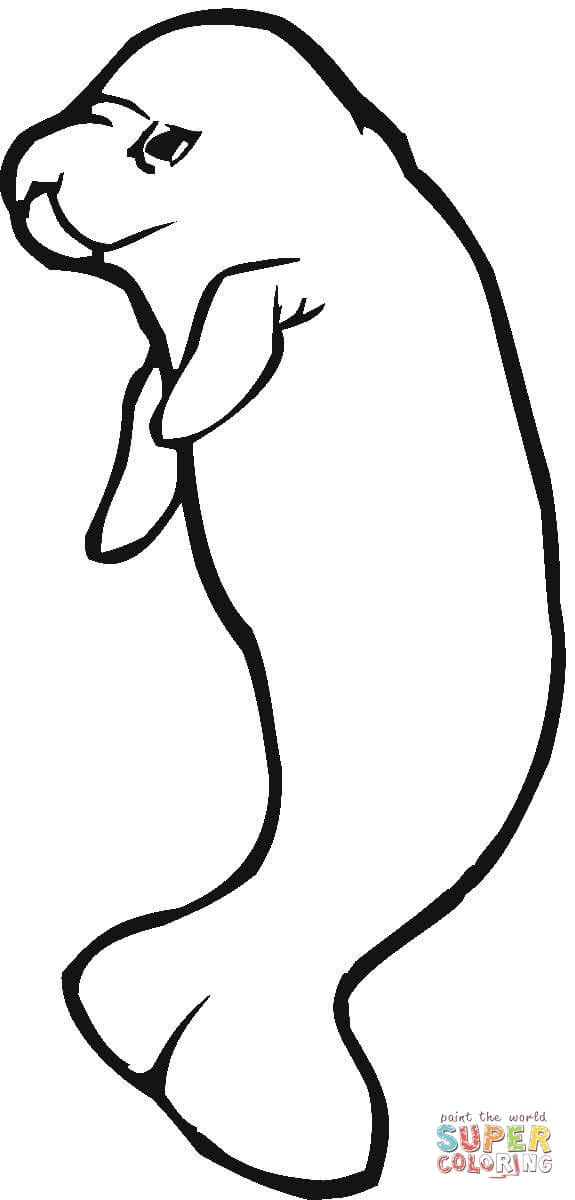 Manatee coloring page free printable coloring pages