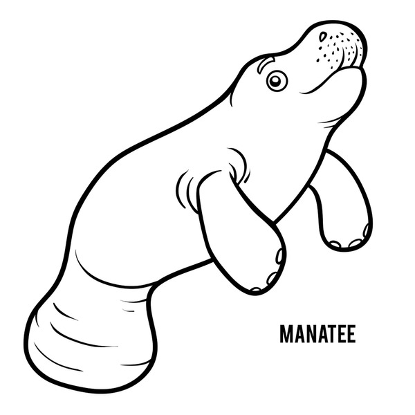 Thousand colorful manatee royalty