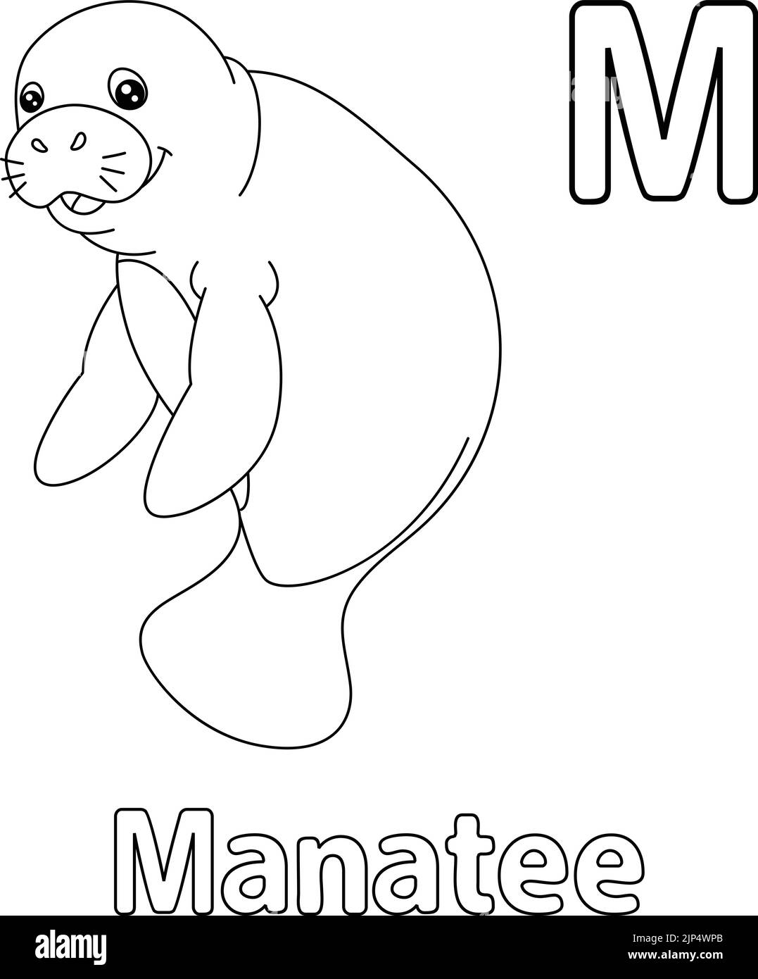 Manatee cut out stock images pictures