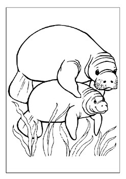 Discover sea creatures manatee coloring sheets for educational fun for kids