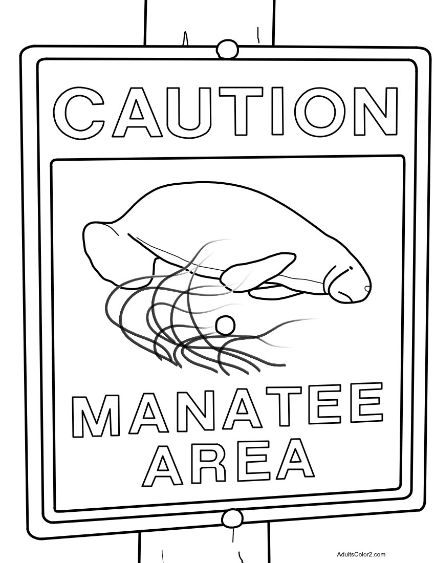 Manatee pictures sea cow coloring page