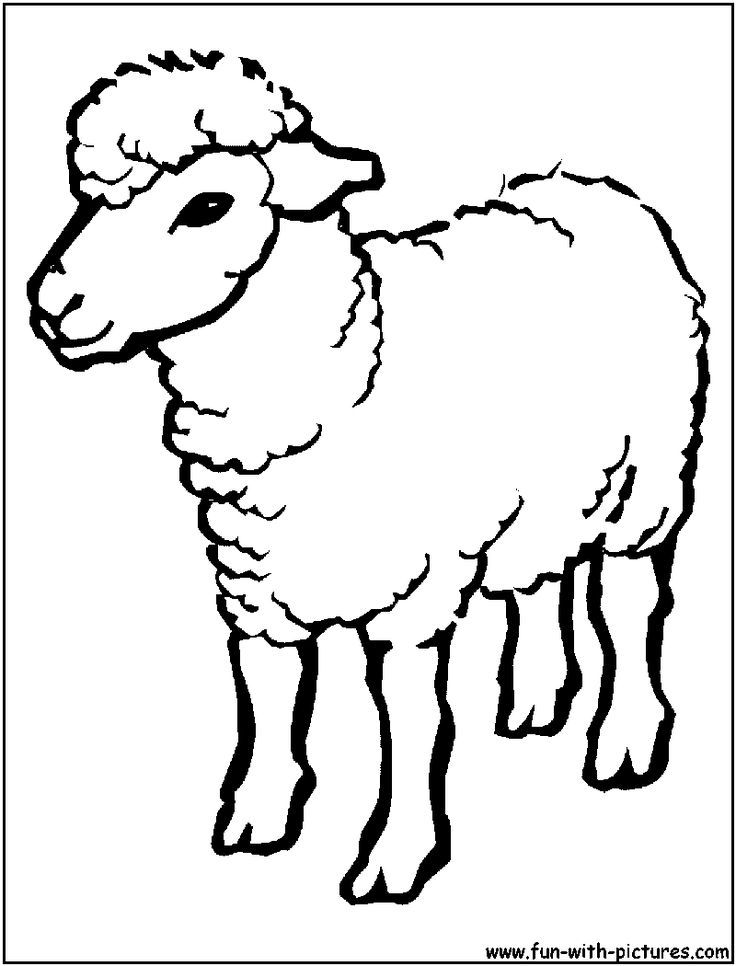 Sheep outline drawing coloring page