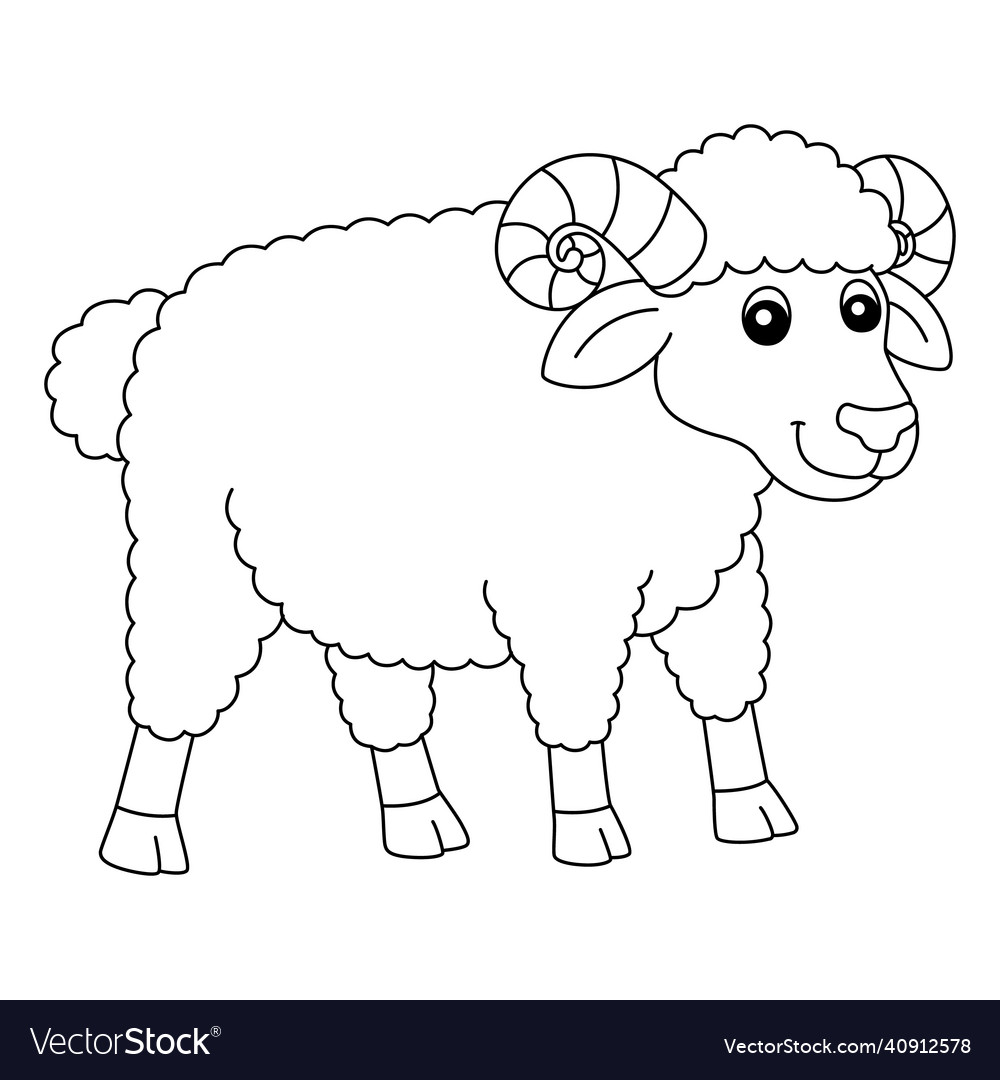 Sheep coloring page isolated for kids royalty free vector