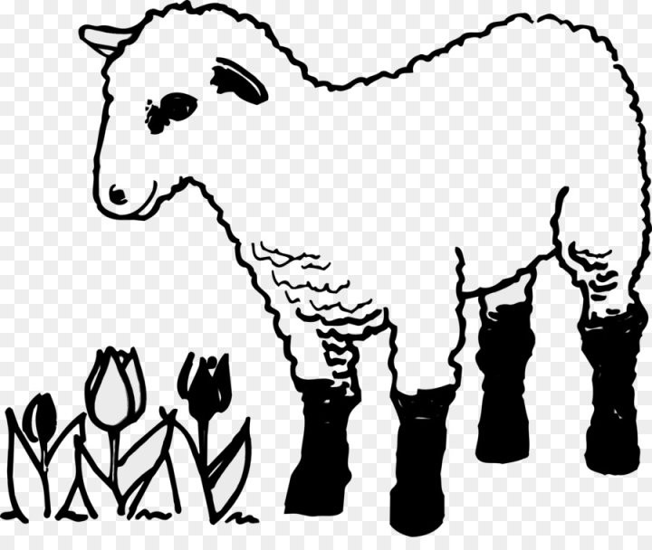 Free sheep coloring book child mammal line art png