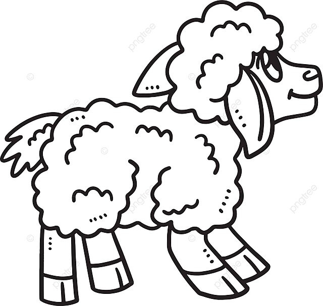 Lamb isolated coloring page for kids color silhouette lamb vector color silhouette lamb png and vector with transparent background for free download
