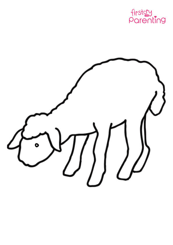 Cute lamb coloring page for kids