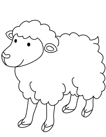 Coloring pages sheep coloring book colorful pages