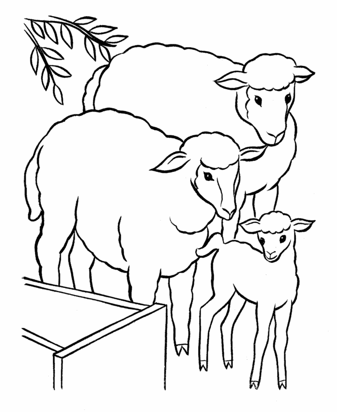 Bluebonkers free printable easter lamb coloring page sheets