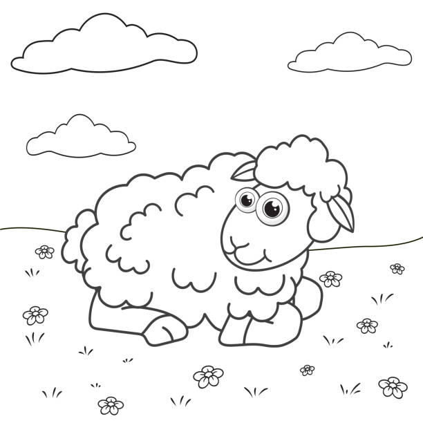 Lamb coloring pages stock illustrations royalty