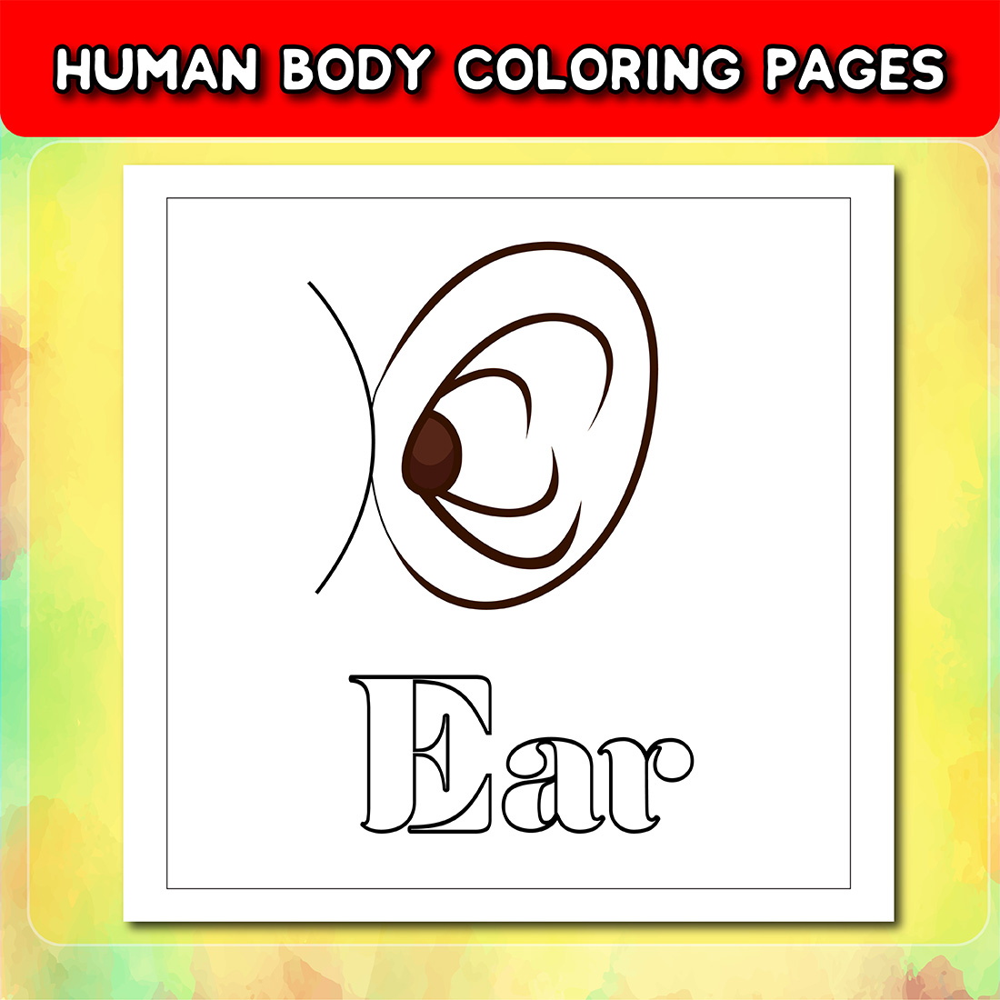 Human body coloring pages for kids