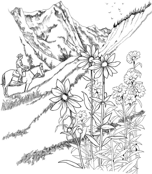 Landscape coloring page
