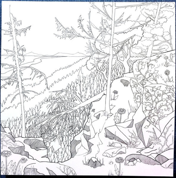 Legendary landscapes coloring book journey â
