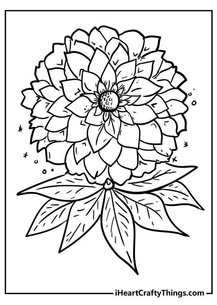 Flower coloring pages free printables
