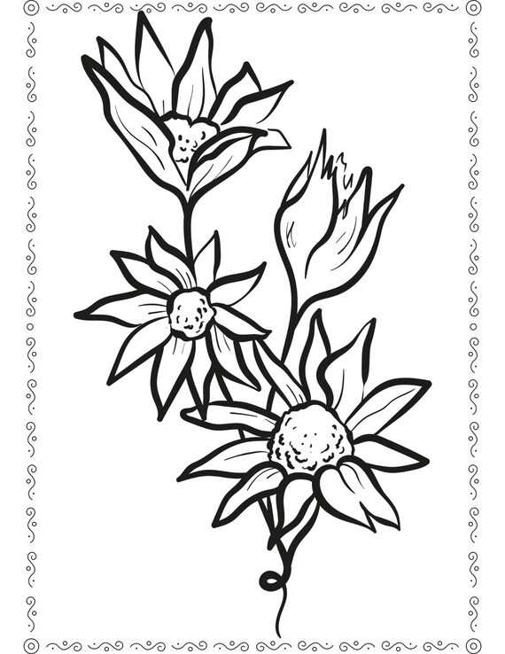 Ten beautiful large flower coloring pages x digital pdfs ready to print botanical floral garden coloring pages high quality