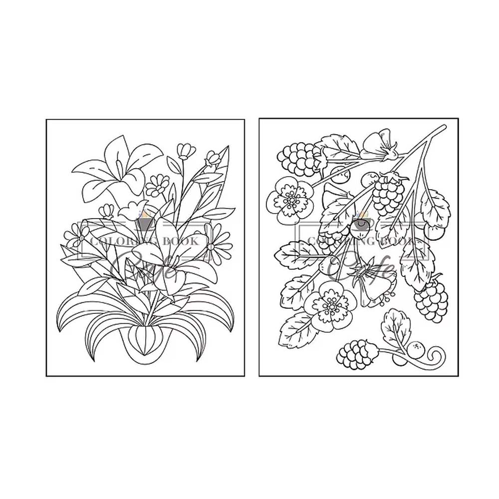 Chao fan easy flowers coloring book a large print coloring book featuring fun easy and relaxing flower designs pages