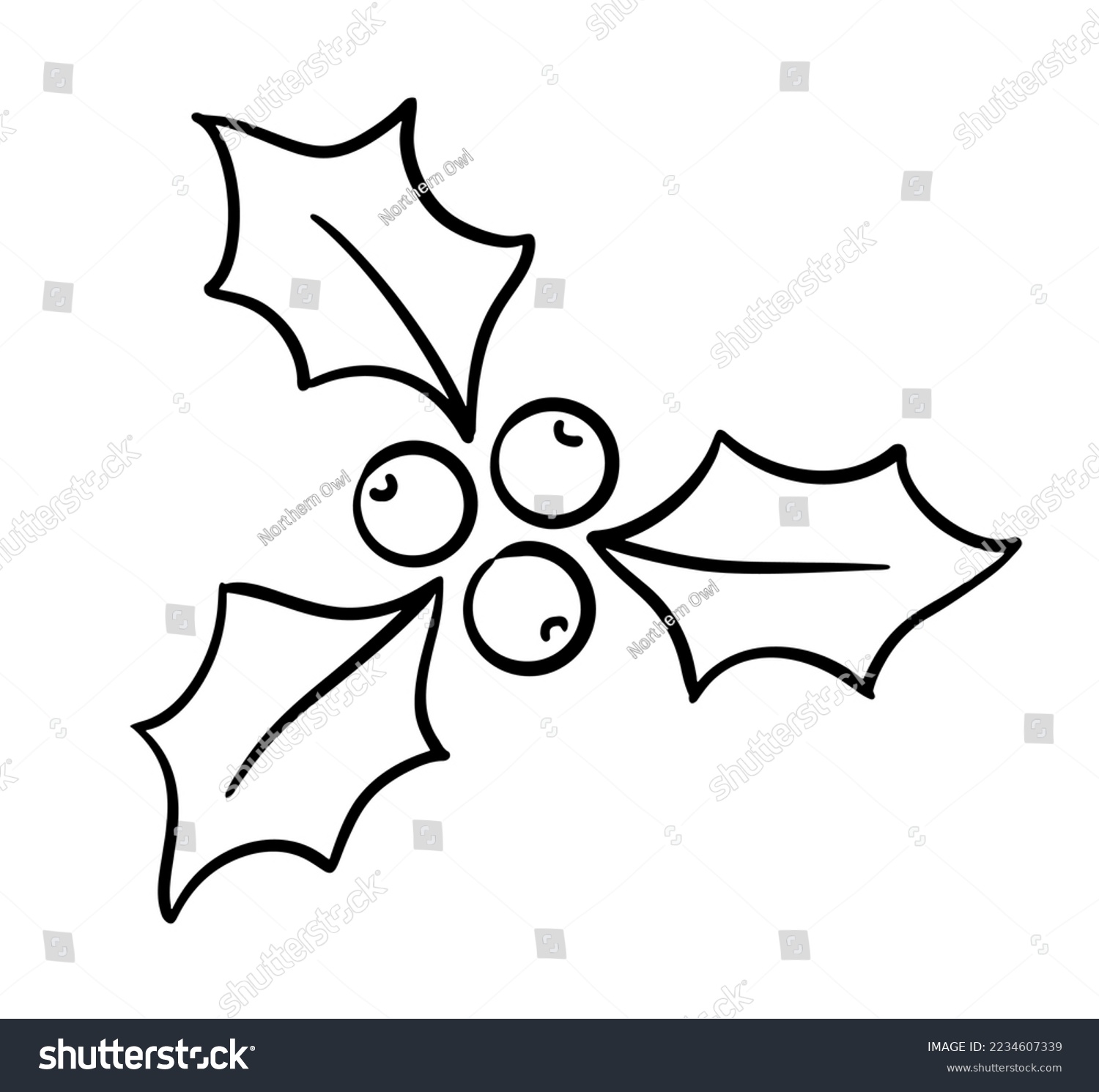 Handdrawn christmas holly leaves berries stock vector royalty free