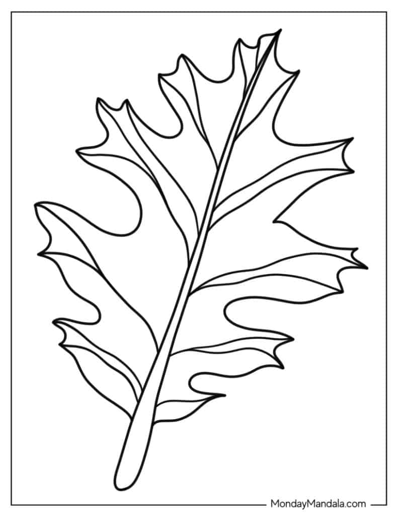 Leaf coloring pages free pdf printables