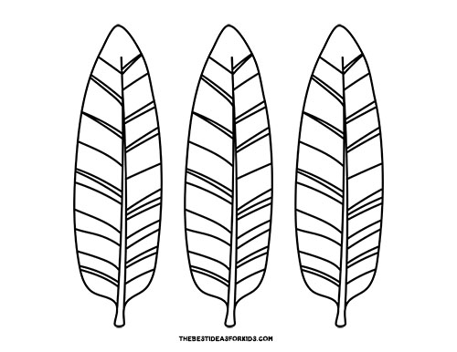 Turkey feather template free printables